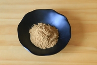 Effective Hericium Erinaceus Extract Polysaccharide Powder For Enhanced Performance