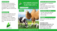 100ml Oral 10% Enrofloxacin Injection Veterinary Drug