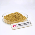 30% Herbal Hericium Erinaceus Extract Capsules Suitable For Dry Storage