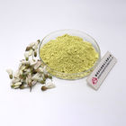 Bulk Sophora Japonica Extract 95% 98% Dihydrate Quercetin CAS 6151-25-3